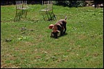 DSC_0031.JPG