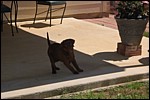 DSC_0032.JPG