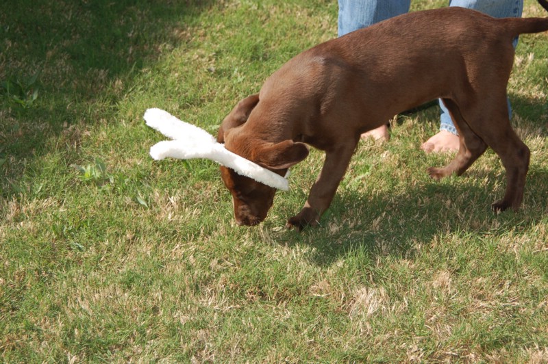 DSC_0044.JPG