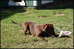 DSC_0052.JPG