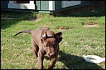DSC_0053.JPG