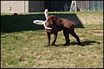 DSC_0055.JPG