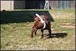 DSC_0056.JPG