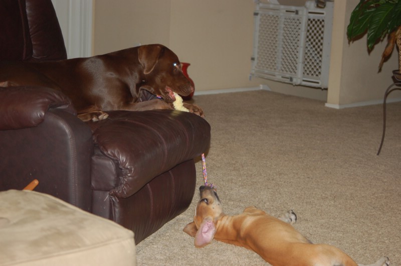 DSC_0013.JPG