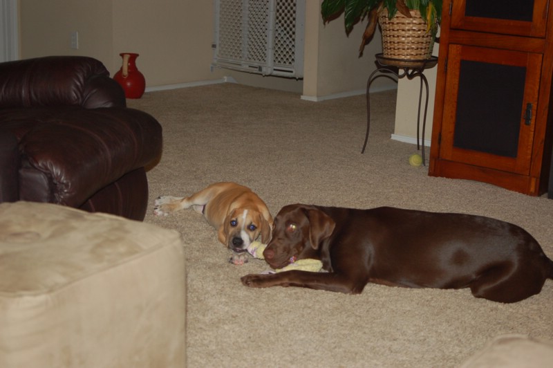 DSC_0014.JPG