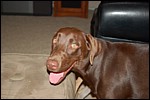 DSC_0006.JPG