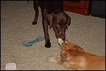 DSC_0007.JPG