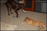 DSC_0008.JPG