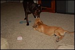 DSC_0009.JPG