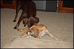 DSC_0010.JPG