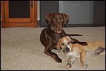 DSC_0011.JPG