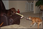 DSC_0012.JPG