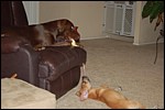 DSC_0013.JPG
