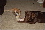 DSC_0015.JPG