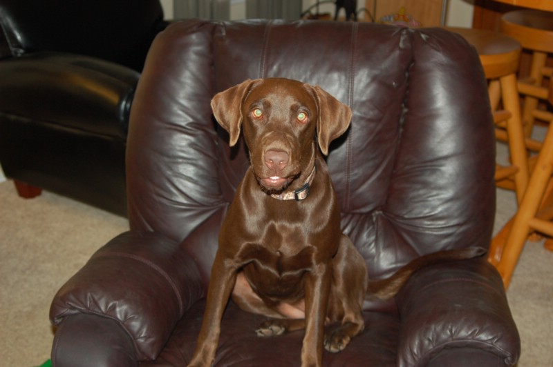 DSC_0004.JPG