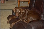 DSC_0003.JPG