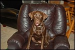 DSC_0004.JPG