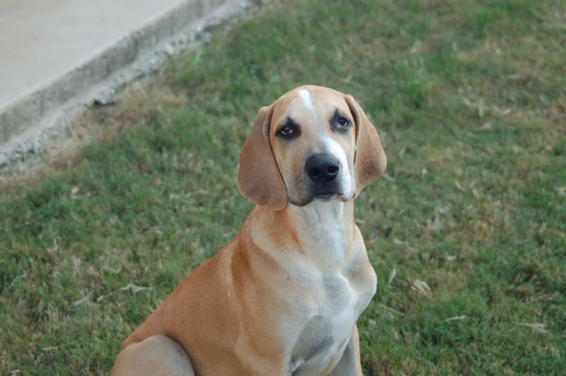 DSC_0017.JPG