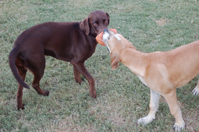 DSC_0045.JPG