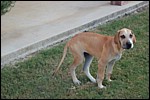 DSC_0012.JPG