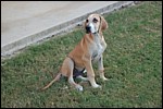 DSC_0013.JPG