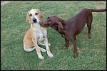 DSC_0021.JPG