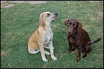 DSC_0025.JPG