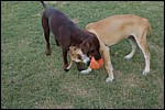 DSC_0050.JPG