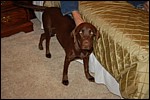 DSC_0096.JPG