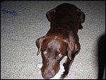 DSCN0290.JPG