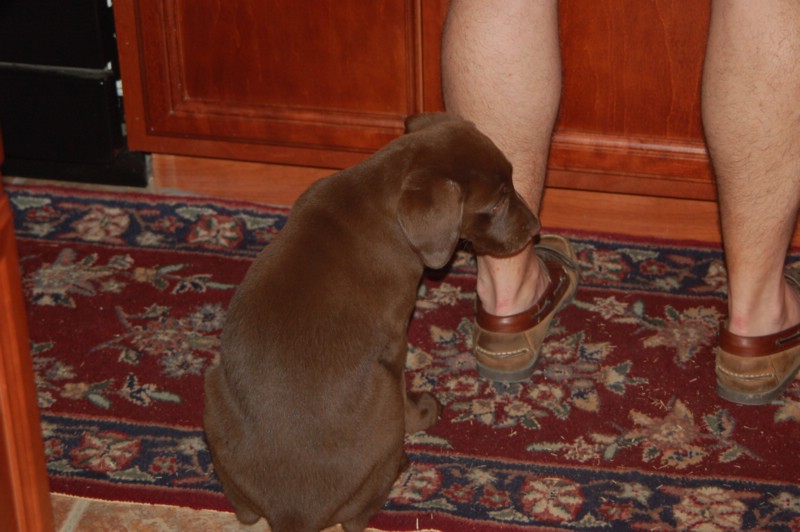 DSC_0017.JPG