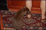 DSC_0017.JPG