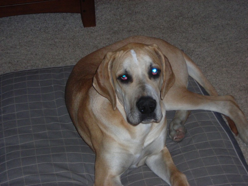 DSCN0291.JPG