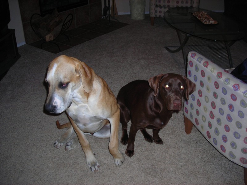 DSCN0309.JPG
