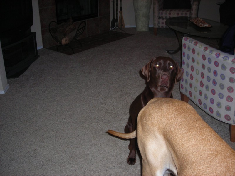 DSCN0310.JPG
