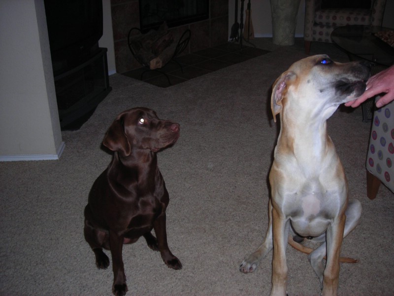 DSCN0311.JPG
