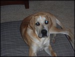 DSCN0291.JPG