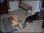 DSCN0297.JPG