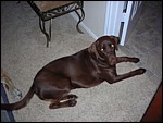 DSCN0298.JPG
