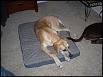 DSCN0299.JPG