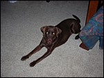 DSCN0302.JPG