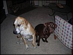 DSCN0309.JPG