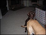 DSCN0310.JPG