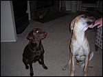DSCN0311.JPG