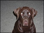 DSCN0328.JPG