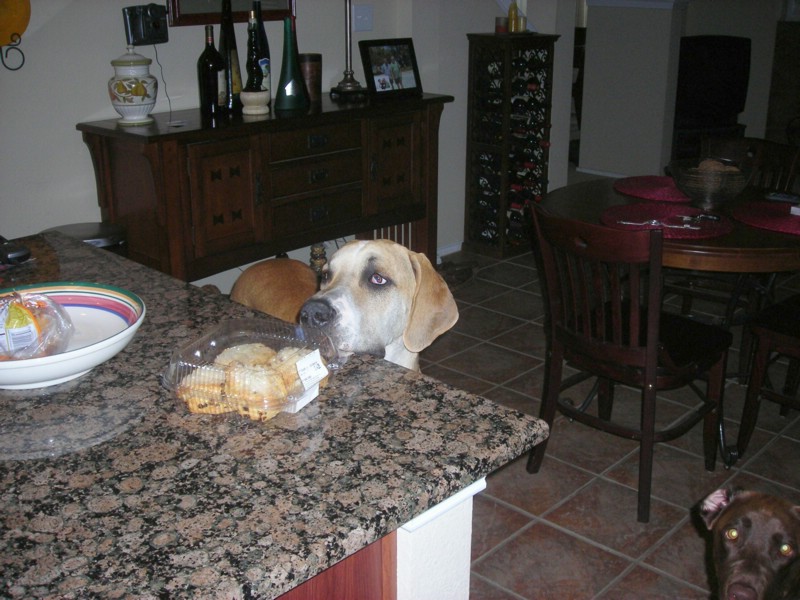 DSCN0359.JPG