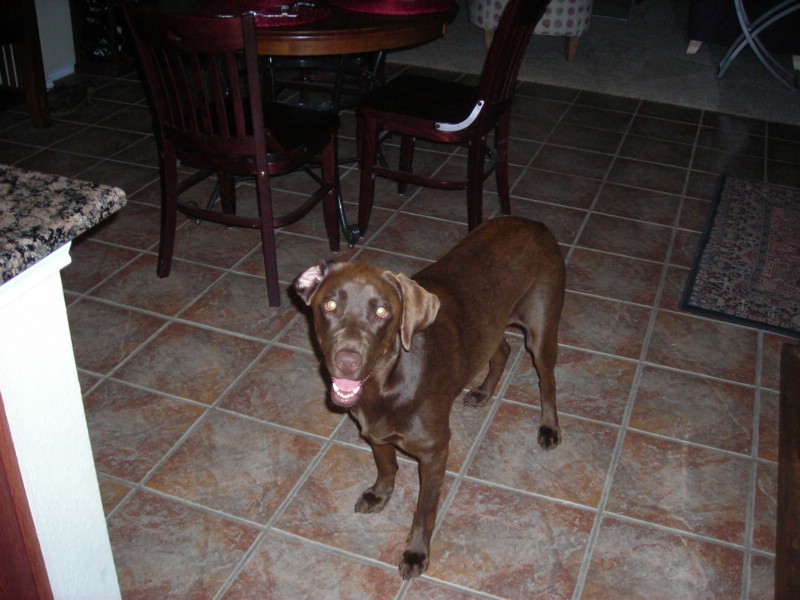 DSCN0360.JPG