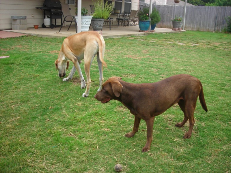 DSCN0369.JPG