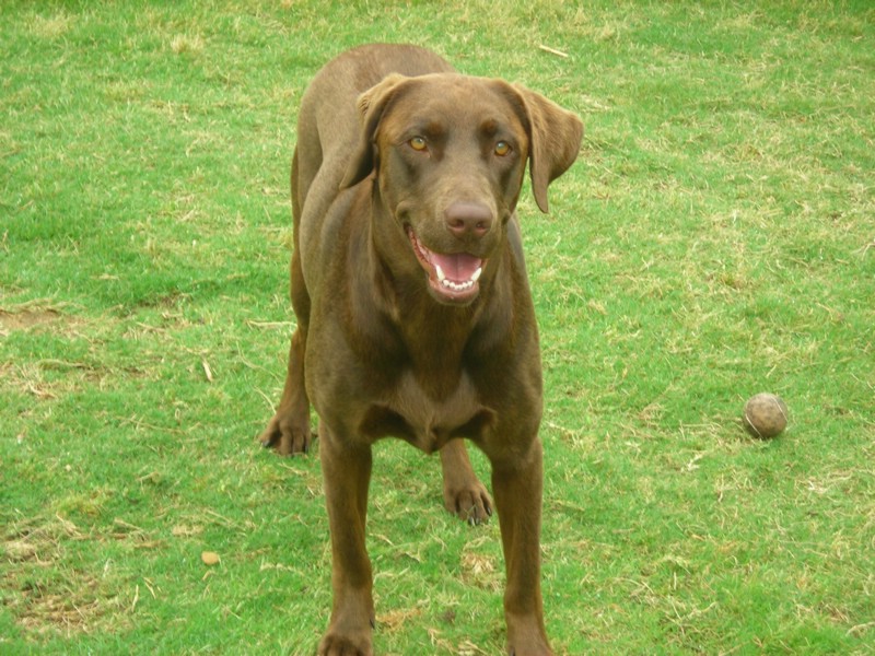 DSCN0372.JPG