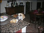 DSCN0359.JPG